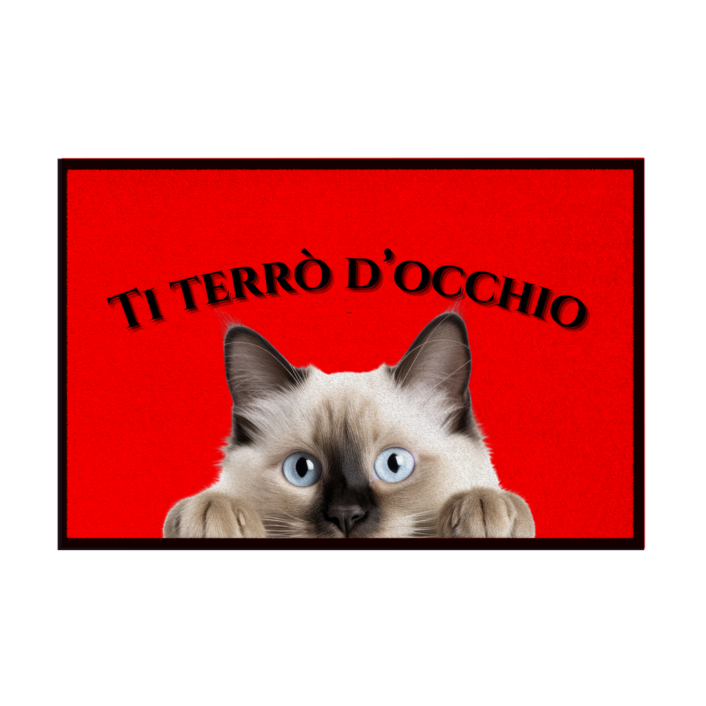 Zerbini - Collezione Cani & Gatti - Gatti curiosi