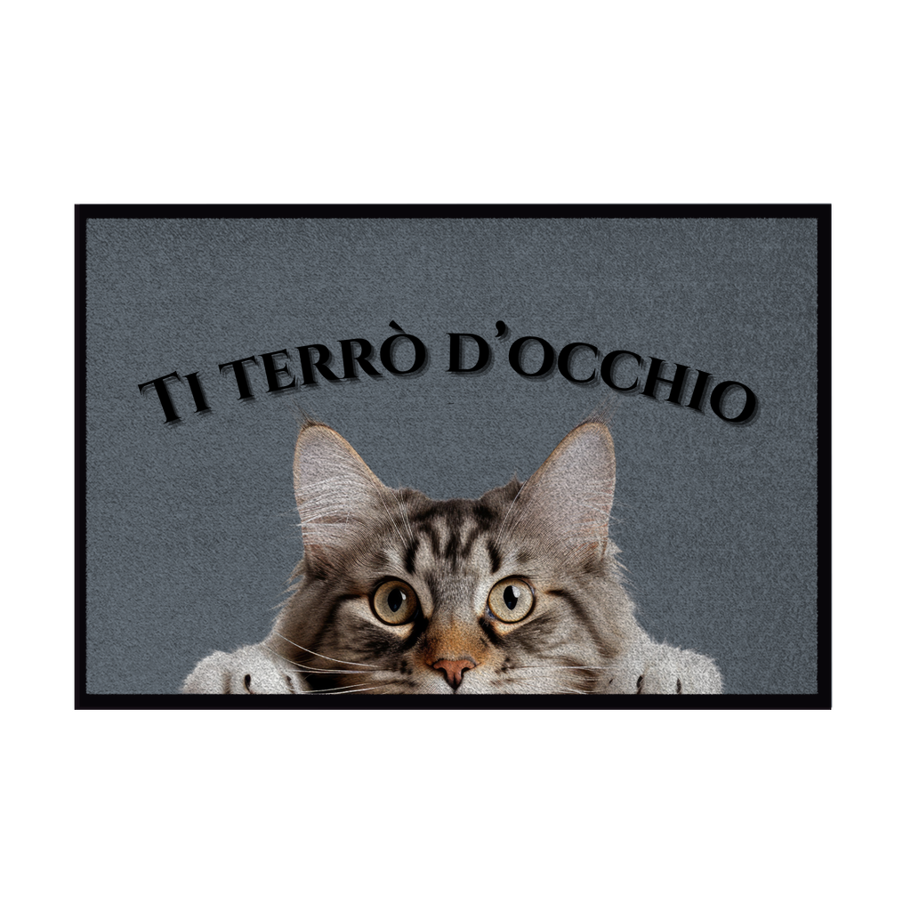 Zerbini - Collezione Cani & Gatti - Gatti curiosi