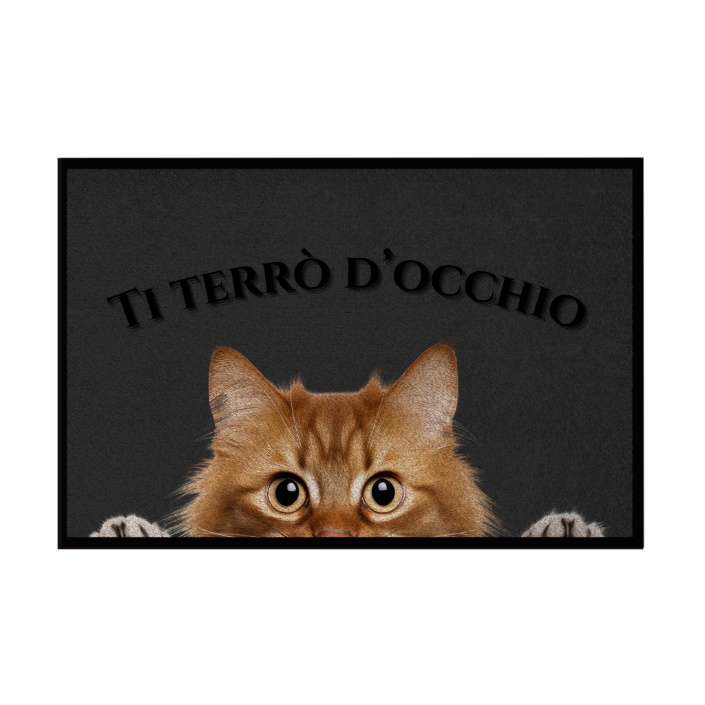Zerbini - Collezione Cani & Gatti - Gatti curiosi