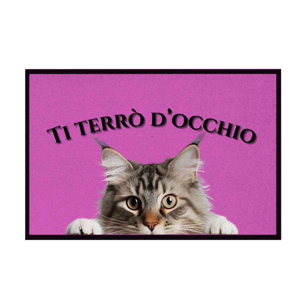 Zerbini - Collezione Cani & Gatti - Gatti curiosi