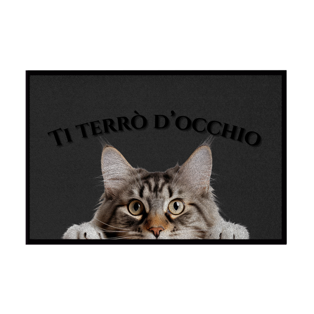 Zerbini - Collezione Cani & Gatti - Gatti curiosi