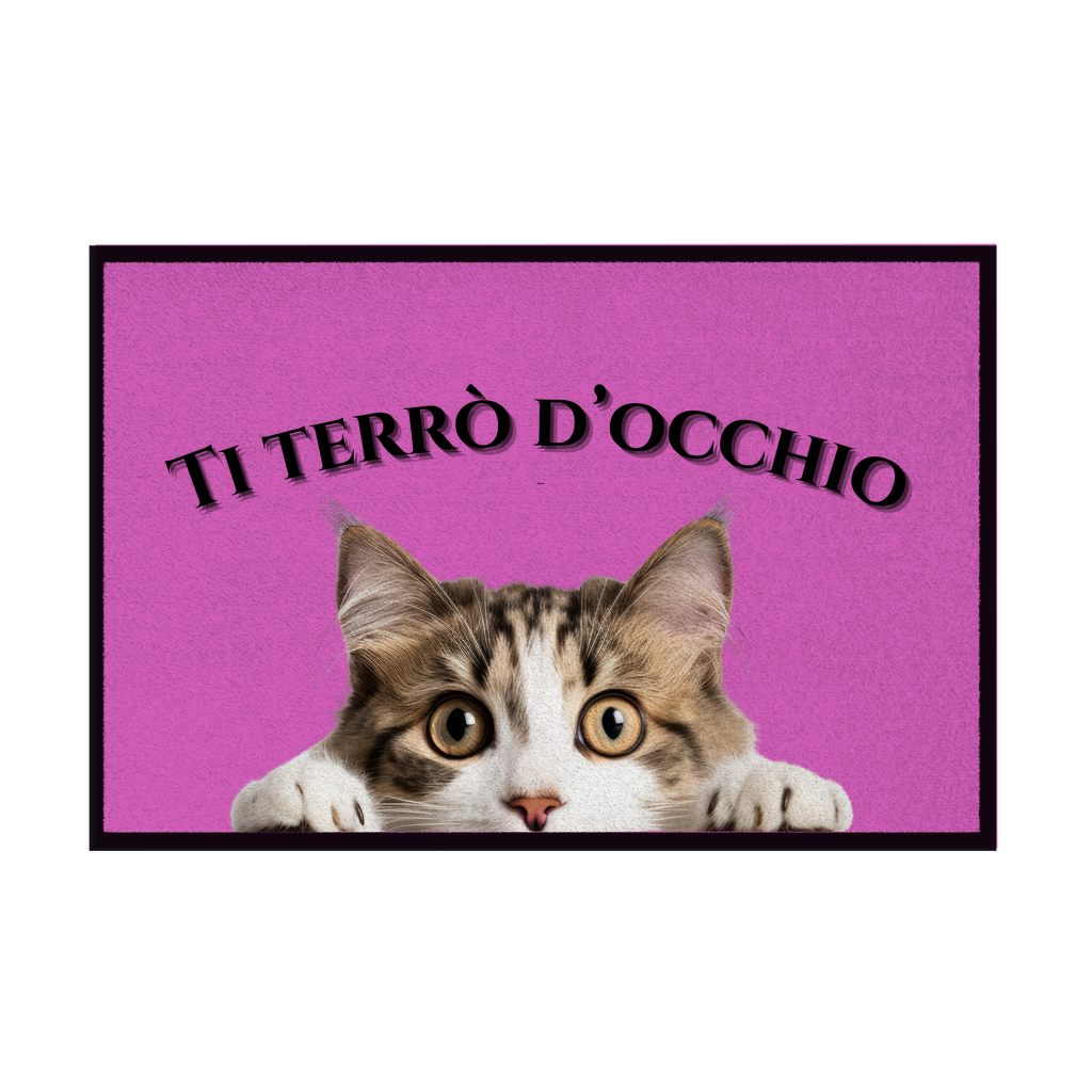 Zerbini - Collezione Cani & Gatti - Gatti curiosi