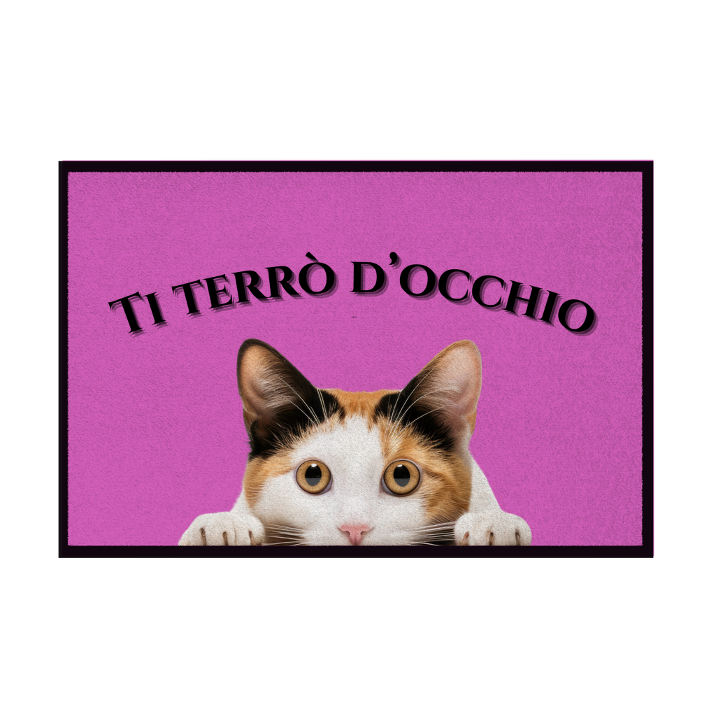 Zerbini - Collezione Cani & Gatti - Gatti curiosi