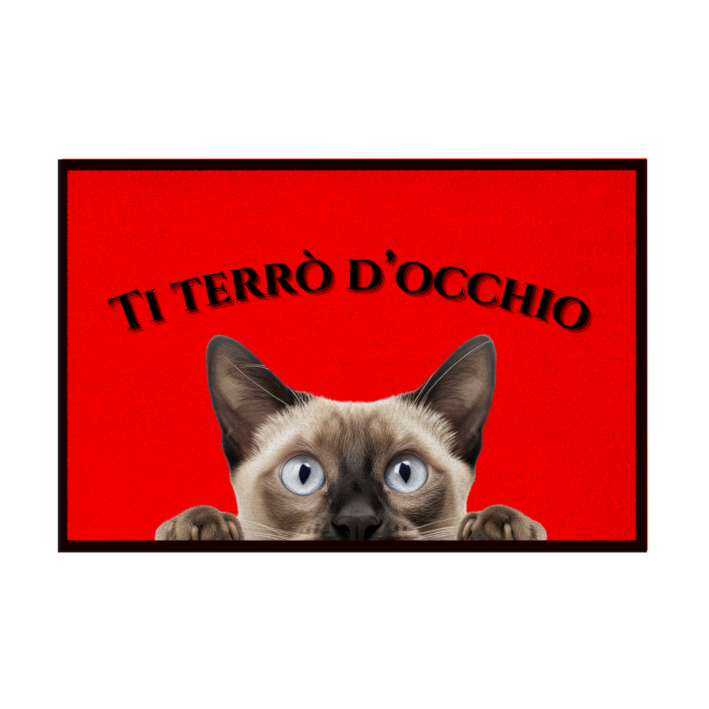 Zerbini - Collezione Cani & Gatti - Gatti curiosi