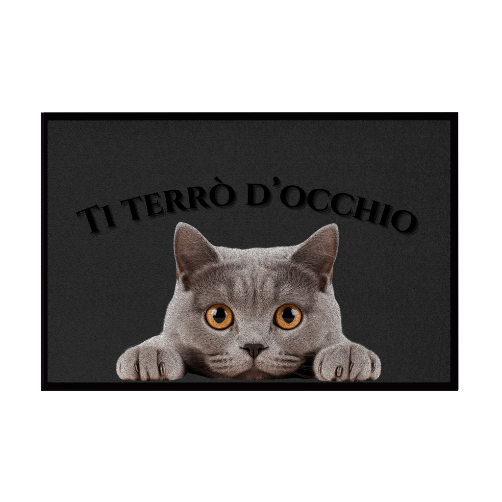 Zerbini - Collezione Cani & Gatti - Gatti curiosi