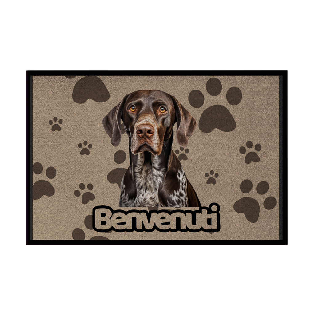 🐾 Zerbini - Collezione Cani & Gatti - Benvenuti