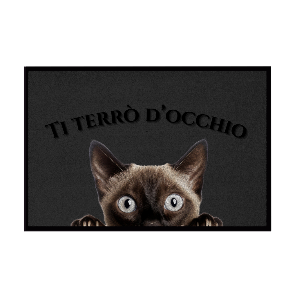 Zerbini - Collezione Cani & Gatti - Gatti curiosi