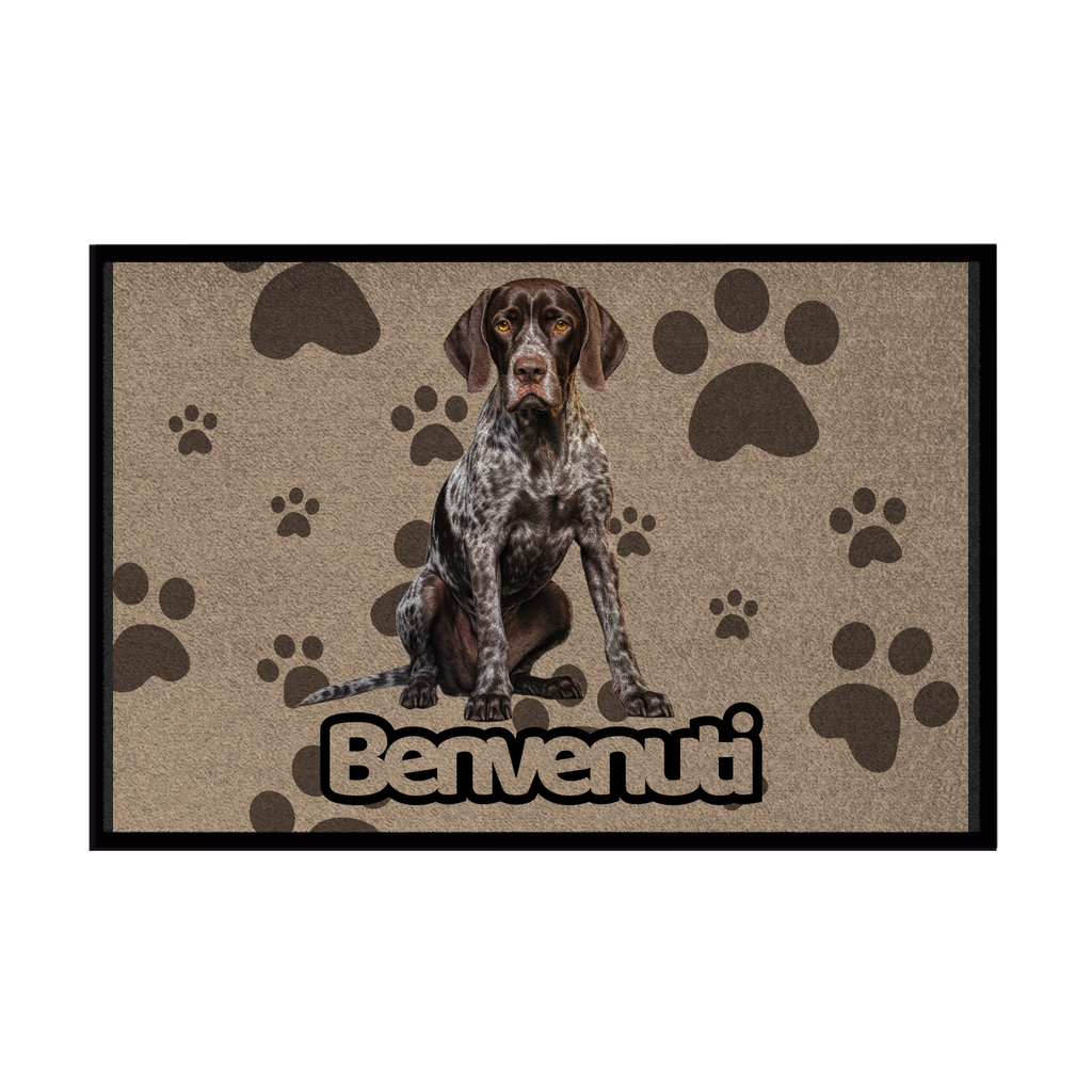 Zerbini - Collezione Cani & Gatti - Benvenuti