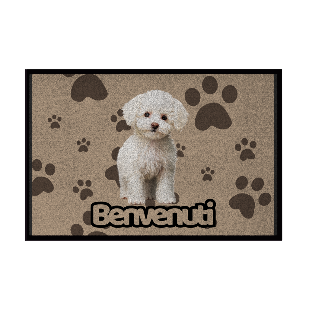 🐾 Zerbini - Collezione Cani & Gatti - Benvenuti