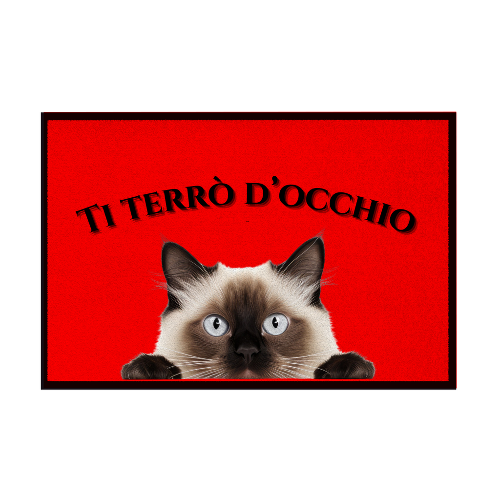 Zerbini - Collezione Cani & Gatti - Gatti curiosi