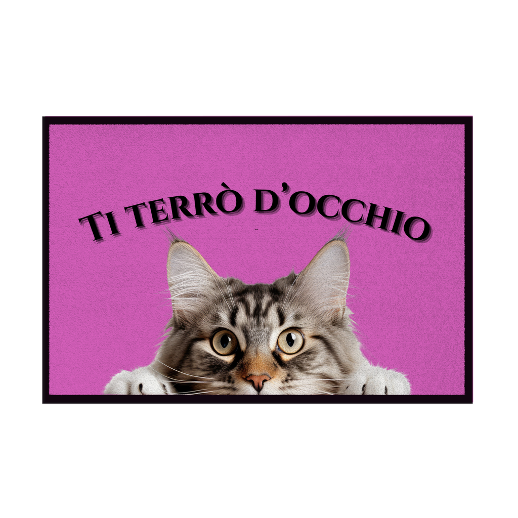Zerbini - Collezione Cani & Gatti - Gatti curiosi