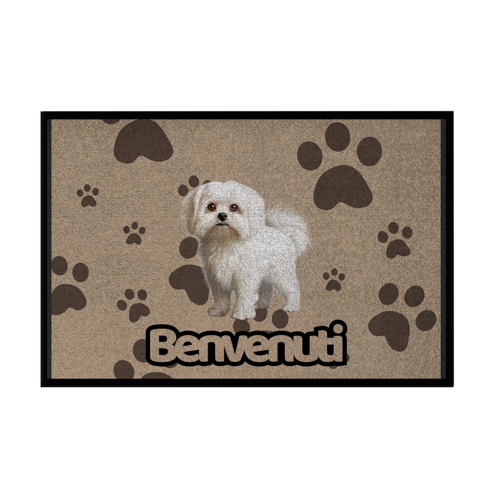 🐾 Zerbini - Collezione Cani & Gatti - Benvenuti