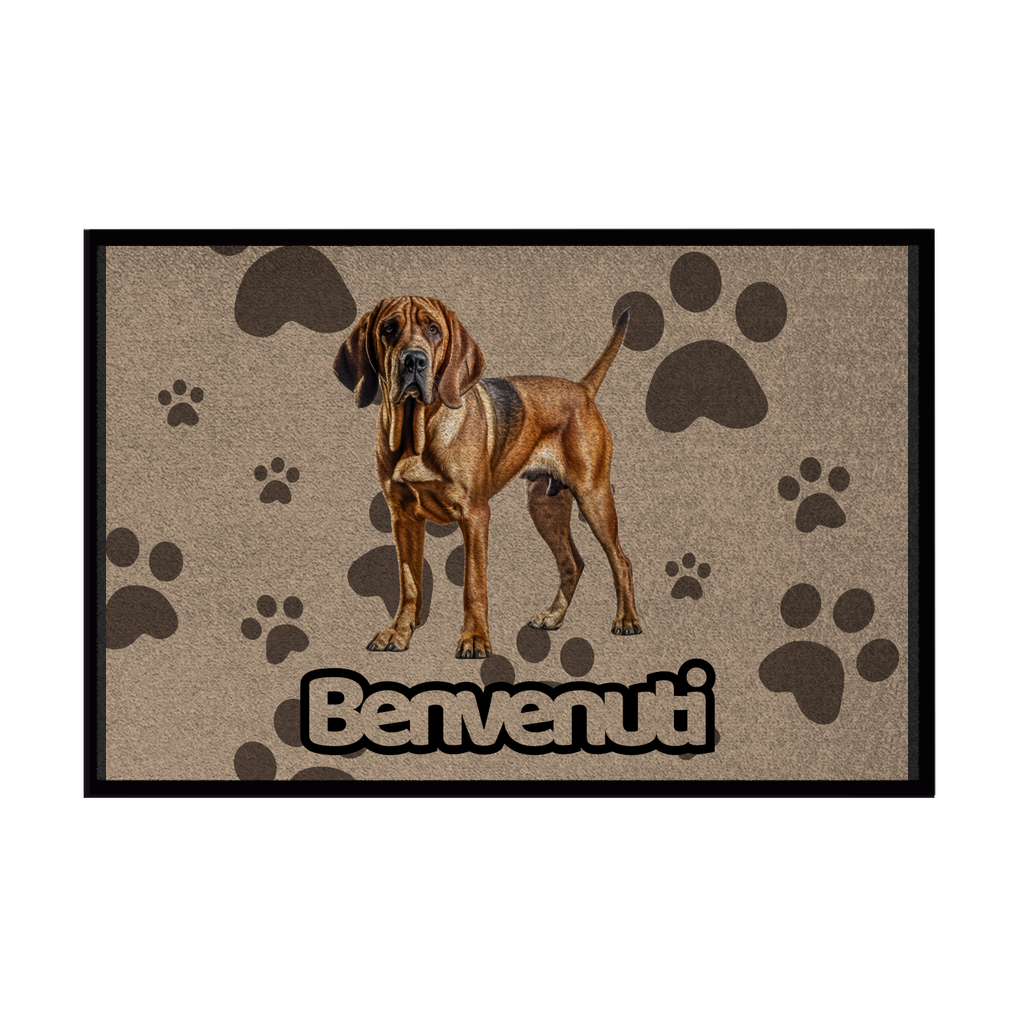🐾 Zerbini - Collezione Cani & Gatti - Benvenuti