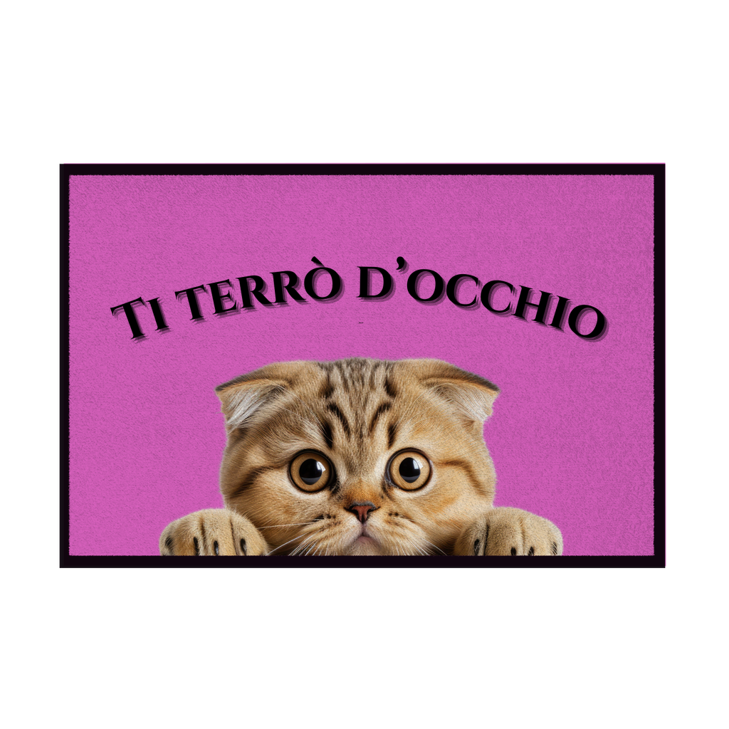Zerbini - Collezione Cani & Gatti - Gatti curiosi