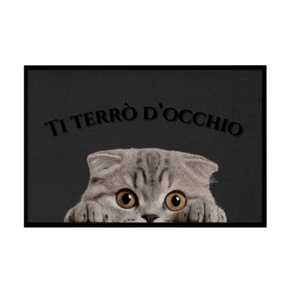 Zerbini - Collezione Cani & Gatti - Gatti curiosi