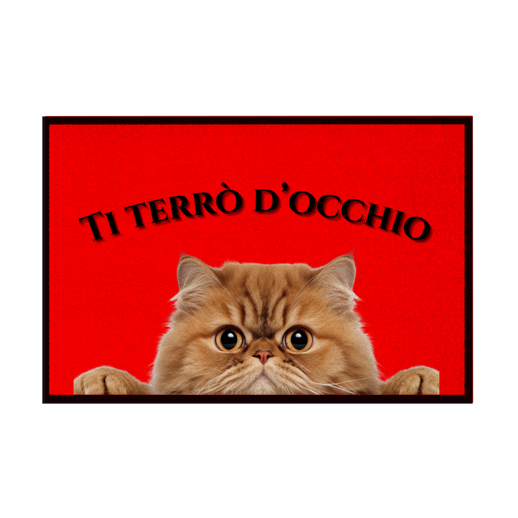 Zerbini - Collezione Cani & Gatti - Gatti curiosi