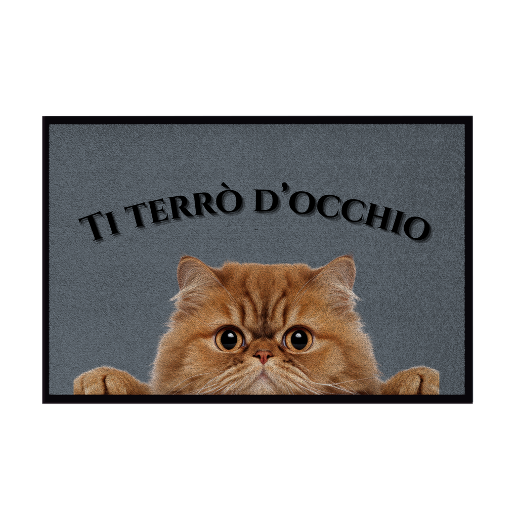 Zerbini - Collezione Cani & Gatti - Gatti curiosi