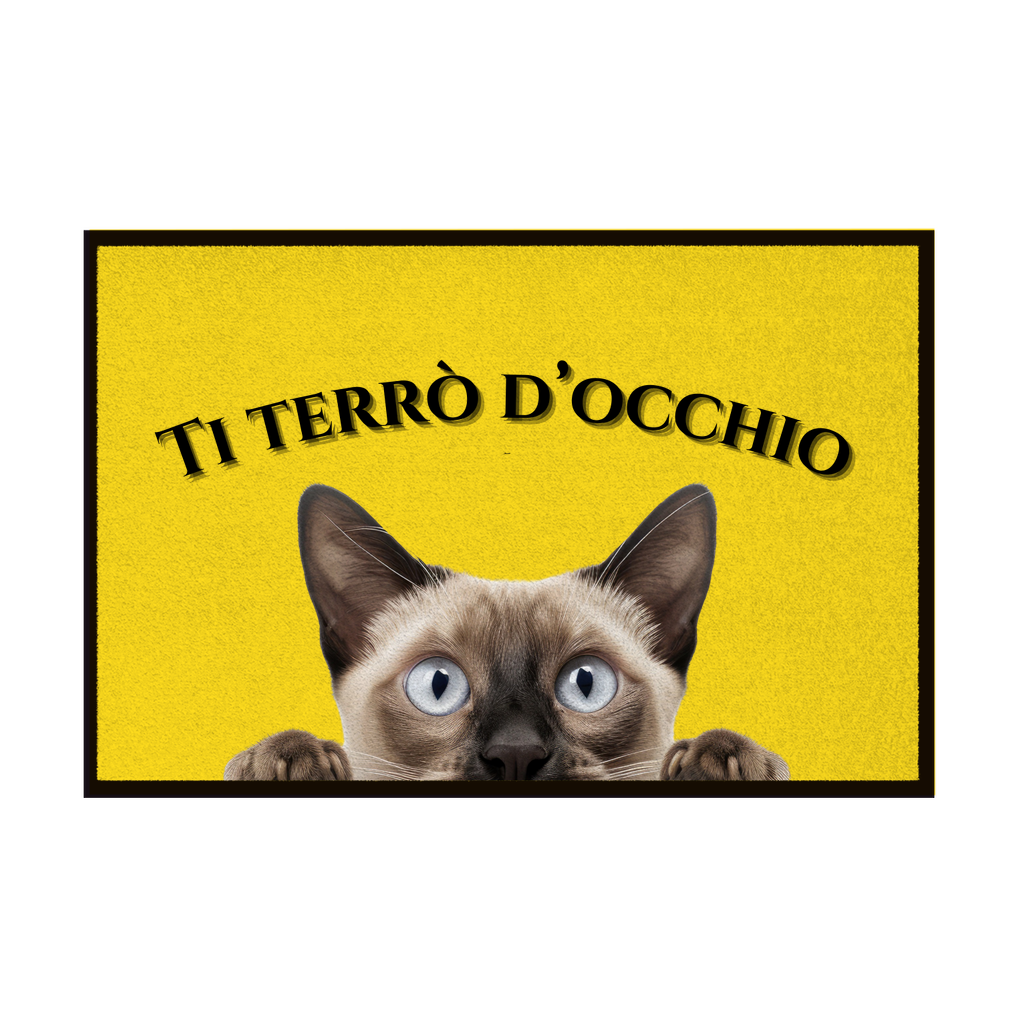 Zerbini - Collezione Cani & Gatti - Gatti curiosi