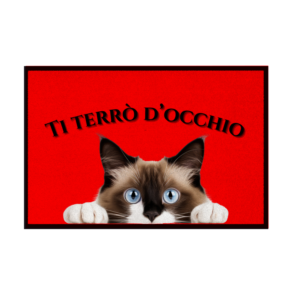 Zerbini - Collezione Cani & Gatti - Gatti curiosi