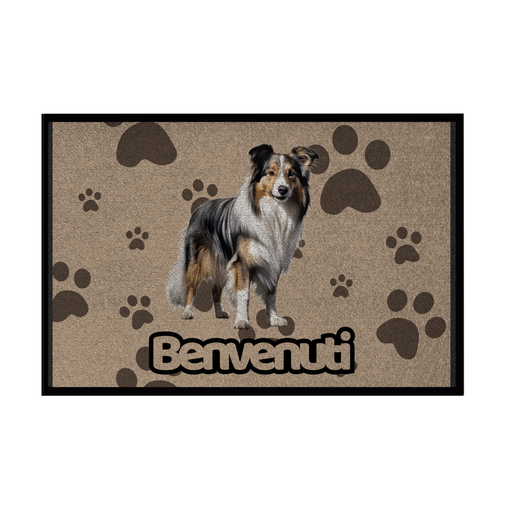 🐾 Zerbini - Collezione Cani & Gatti - Benvenuti