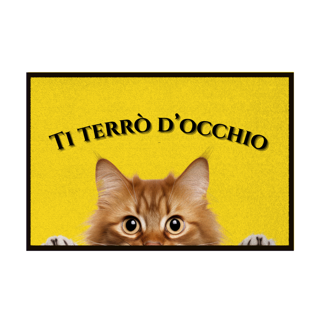 Zerbini - Collezione Cani & Gatti - Gatti curiosi