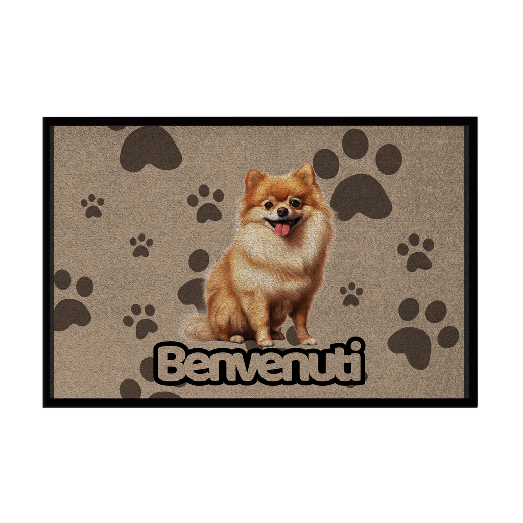 🐾 Zerbini - Collezione Cani & Gatti - Benvenuti