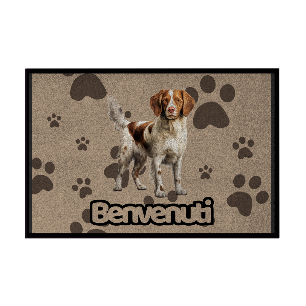🐾 Collezione Cani & Gatti - Benvenuti