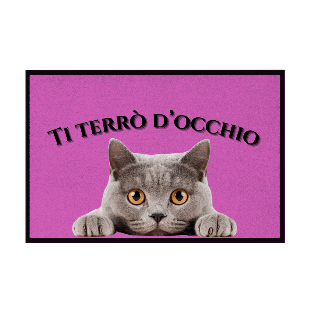 Zerbini - Collezione Cani & Gatti - Gatti curiosi