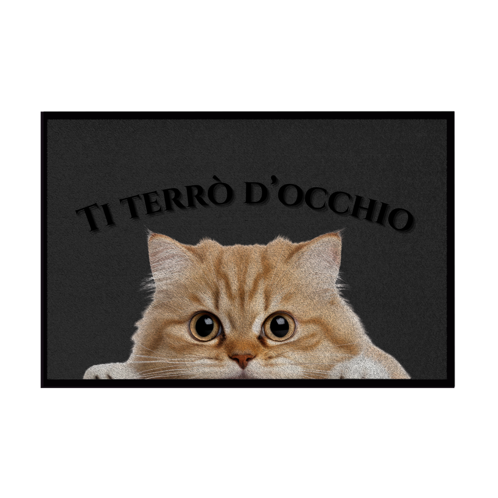 Zerbini - Collezione Cani & Gatti - Gatti curiosi