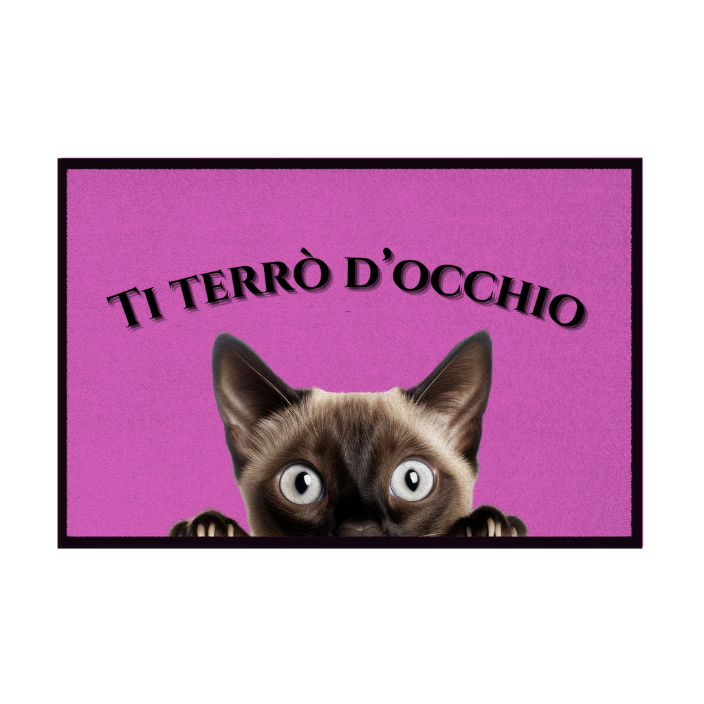 Zerbini - Collezione Cani & Gatti - Gatti curiosi