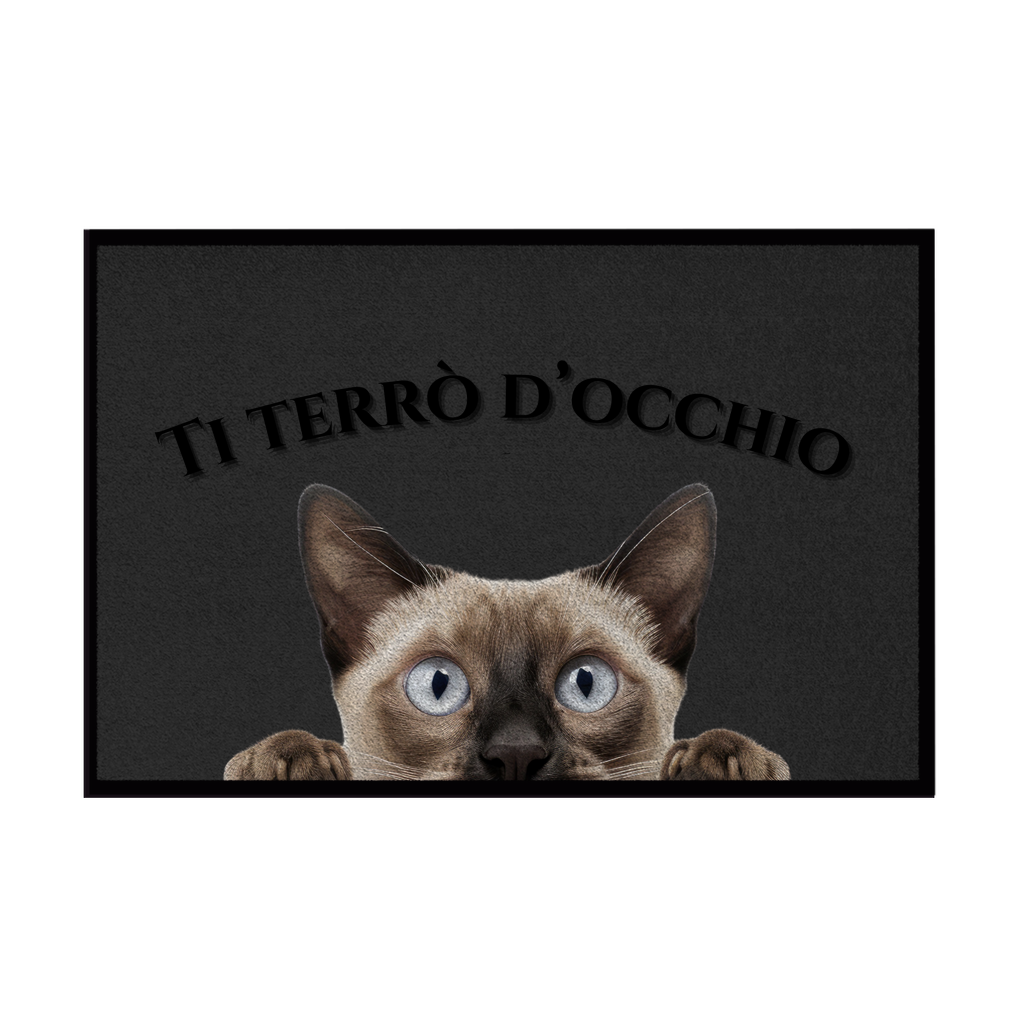 Zerbini - Collezione Cani & Gatti - Gatti curiosi