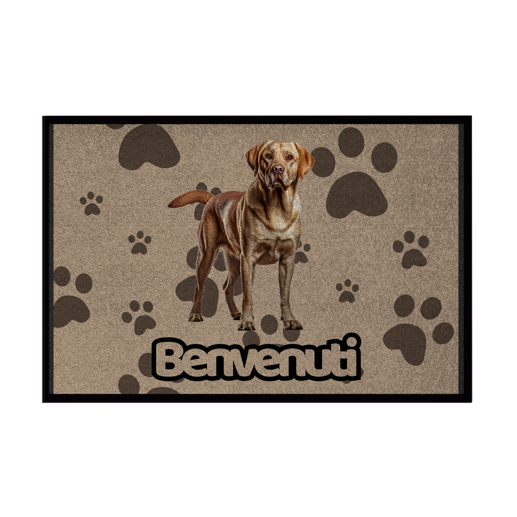 🐾 Zerbini - Collezione Cani & Gatti - Benvenuti