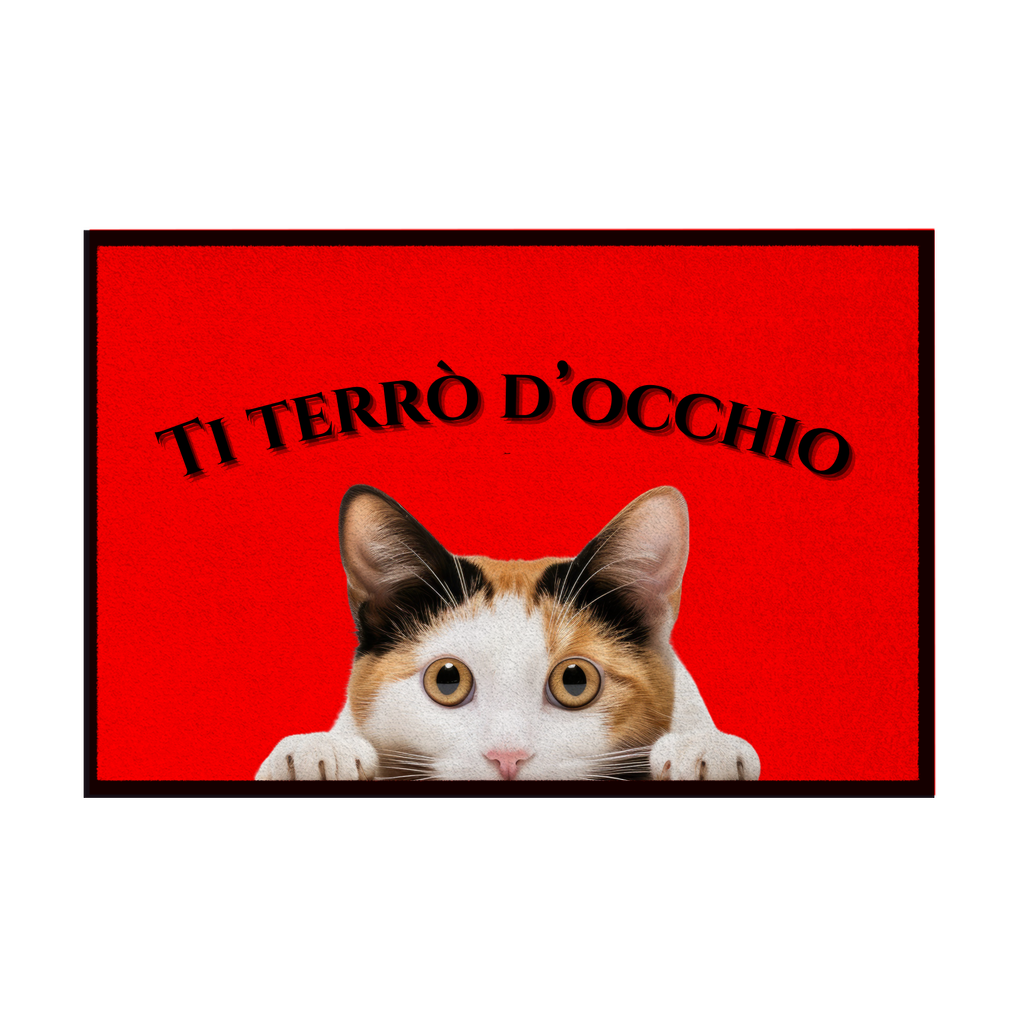 Zerbini - Collezione Cani & Gatti - Gatti curiosi