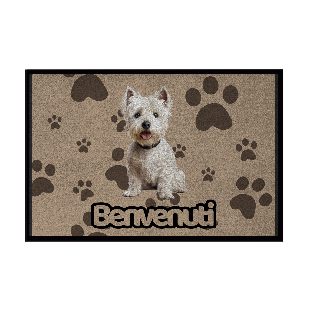 🐾 Zerbini - Collezione Cani & Gatti - Benvenuti