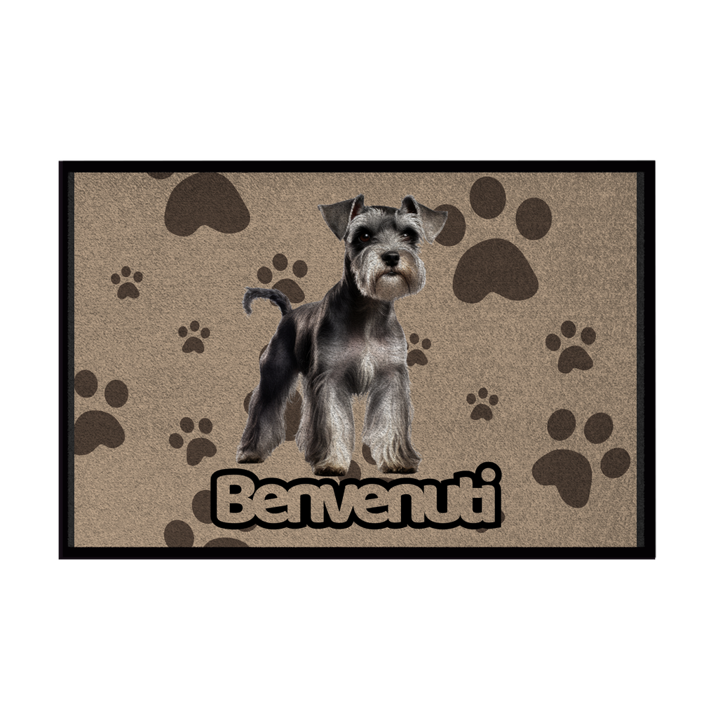 🐾 Zerbini - Collezione Cani & Gatti - Benvenuti