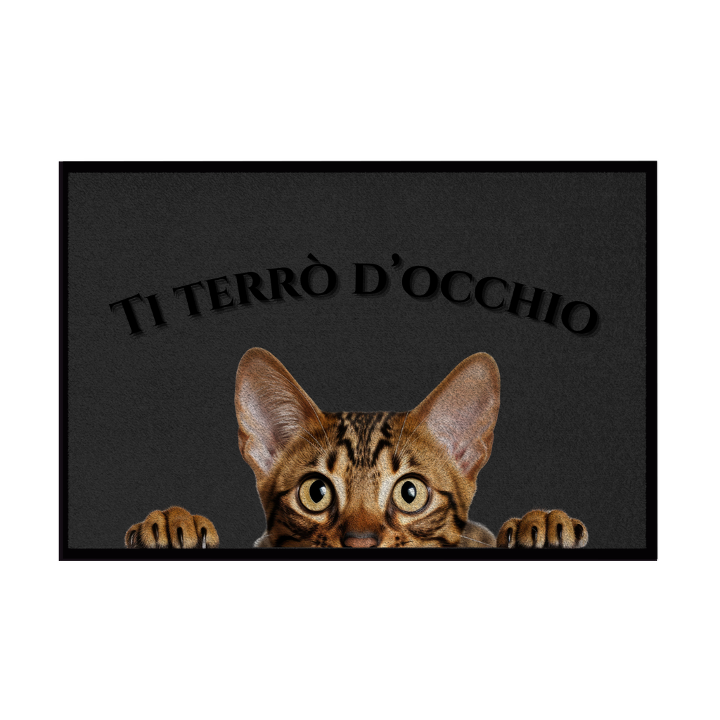 🐾 Zerbini - Collezione Cani & Gatti - Gatti curiosi