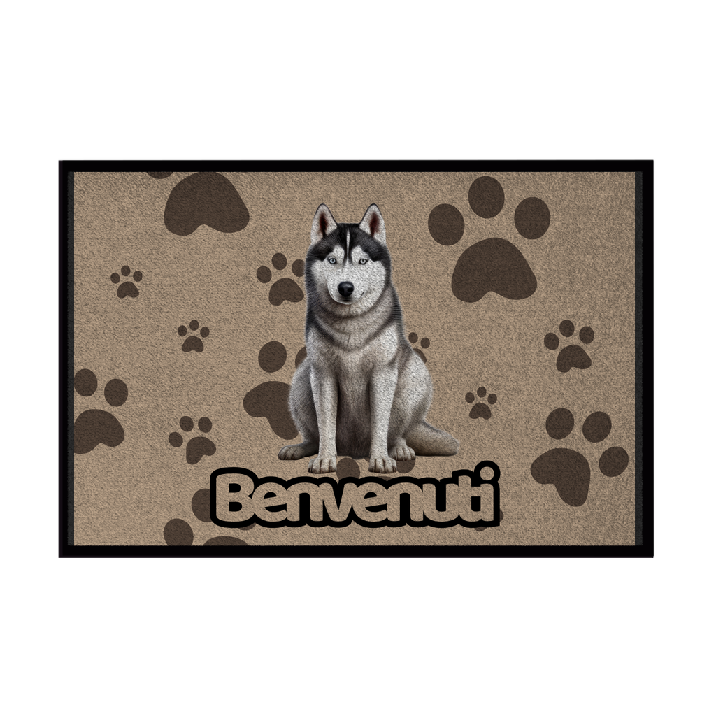 🐾 Zerbini -  Collezione Cani & Gatti - Benvenuti