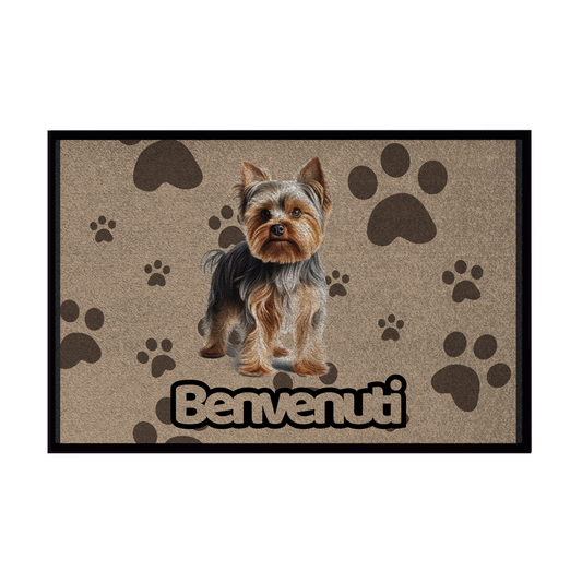 🐾 Zerbini -  Collezione Cani & Gatti - Benvenuti