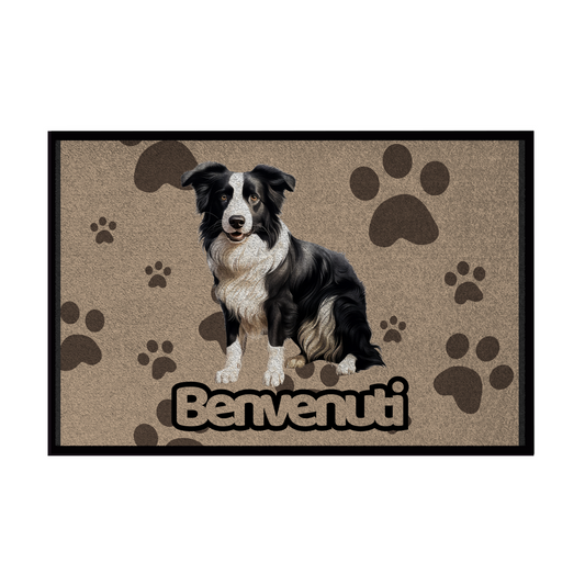 🐾 Zerbini - Collezione Cani & Gatti - Benvenuti