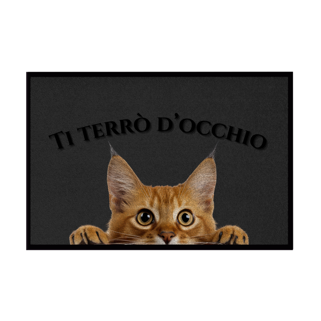 Zerbini - Collezione Cani & Gatti - Gatti curiosi