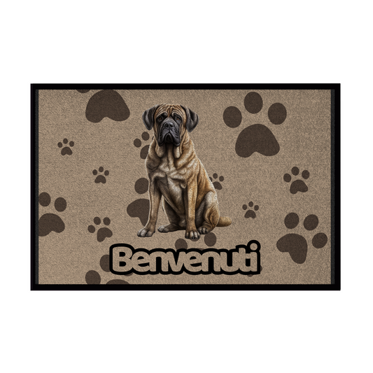 🐾  Zerbini - Collezione Cani & Gatti - Benvenuti