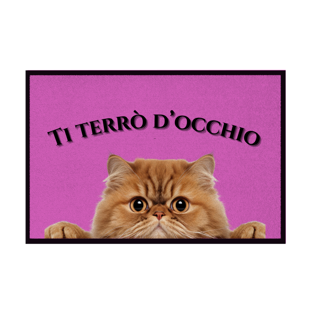 Zerbini - Collezione Cani & Gatti - Gatti curiosi