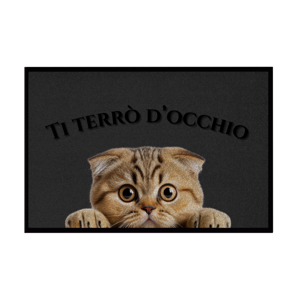 Zerbini - Collezione Cani & Gatti - Gatti curiosi