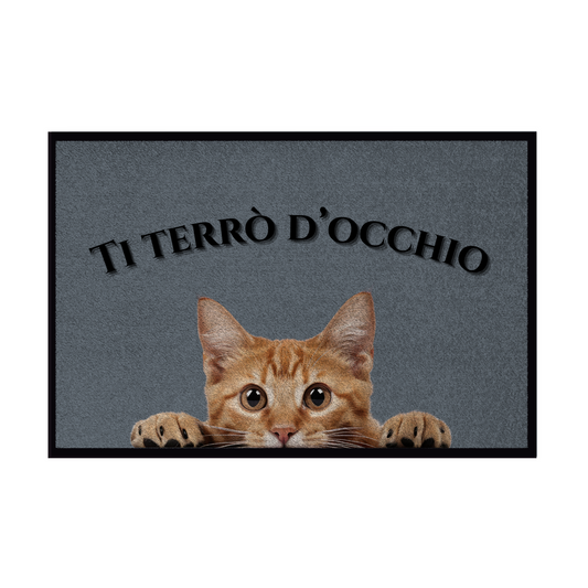 Zerbini - Collezione Cani & Gatti - Gatti curiosi