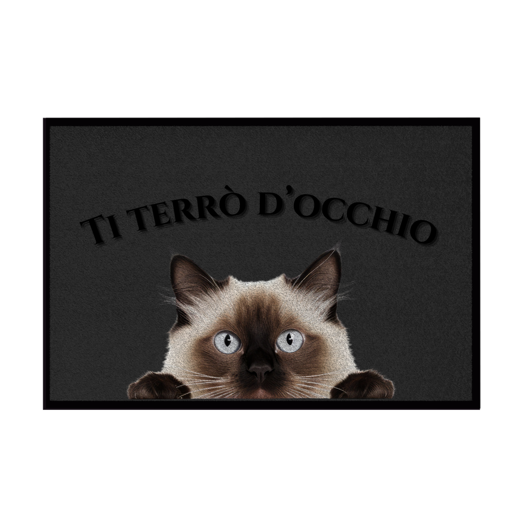 Zerbini - Collezione Cani & Gatti - Gatti curiosi