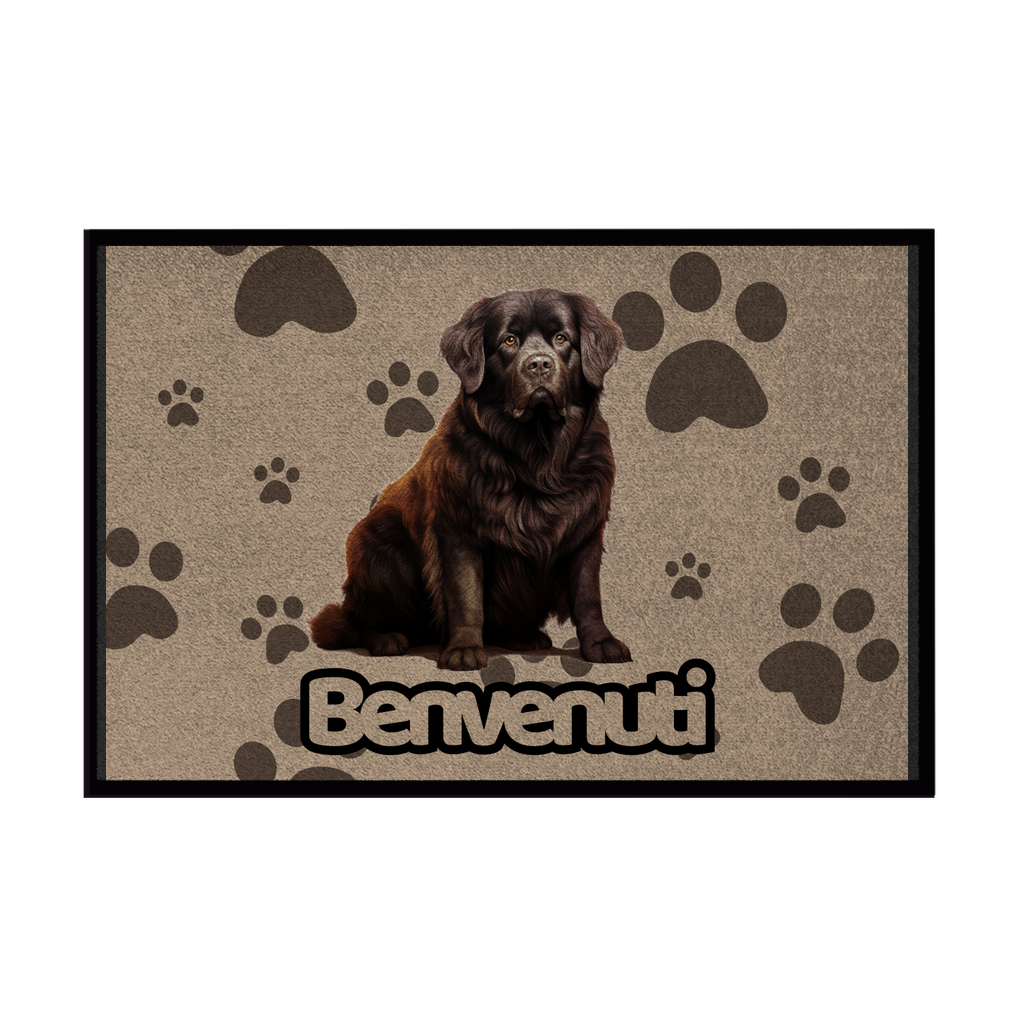 🐾  Zerbini - Collezione Cani & Gatti - Benvenuti