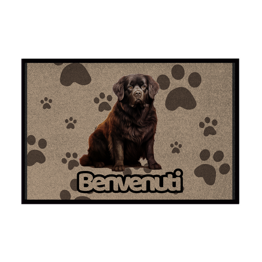 🐾  Zerbini - Collezione Cani & Gatti - Benvenuti