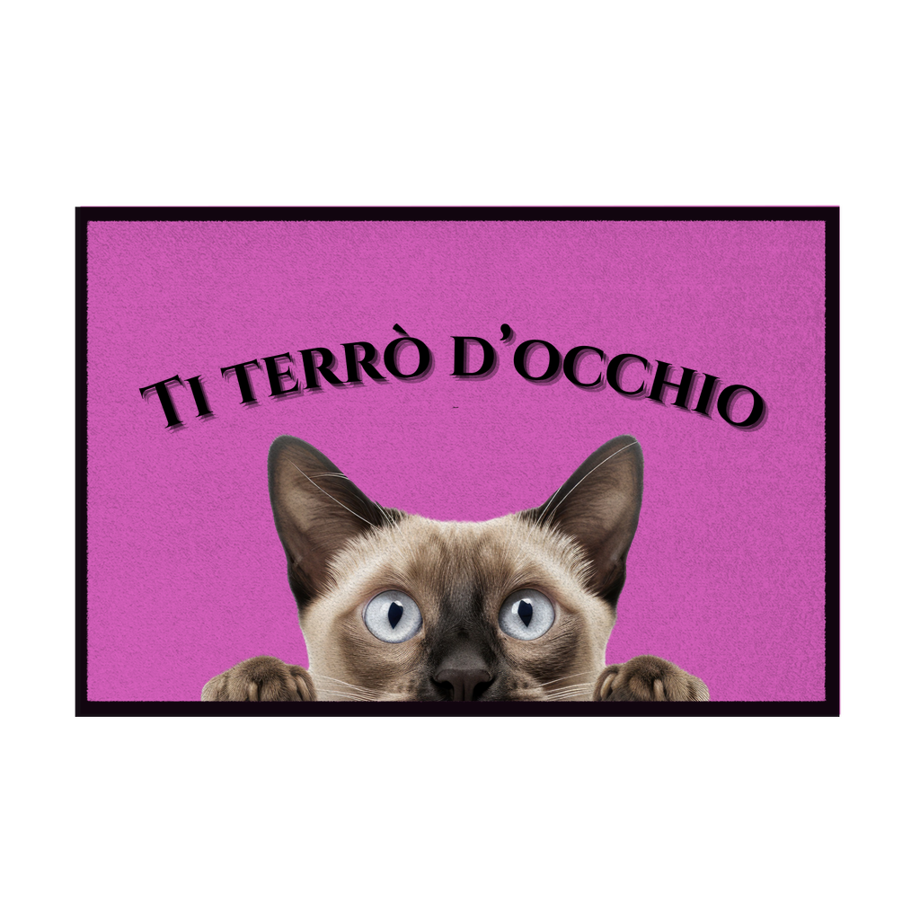 Zerbini - Collezione Cani & Gatti - Gatti curiosi