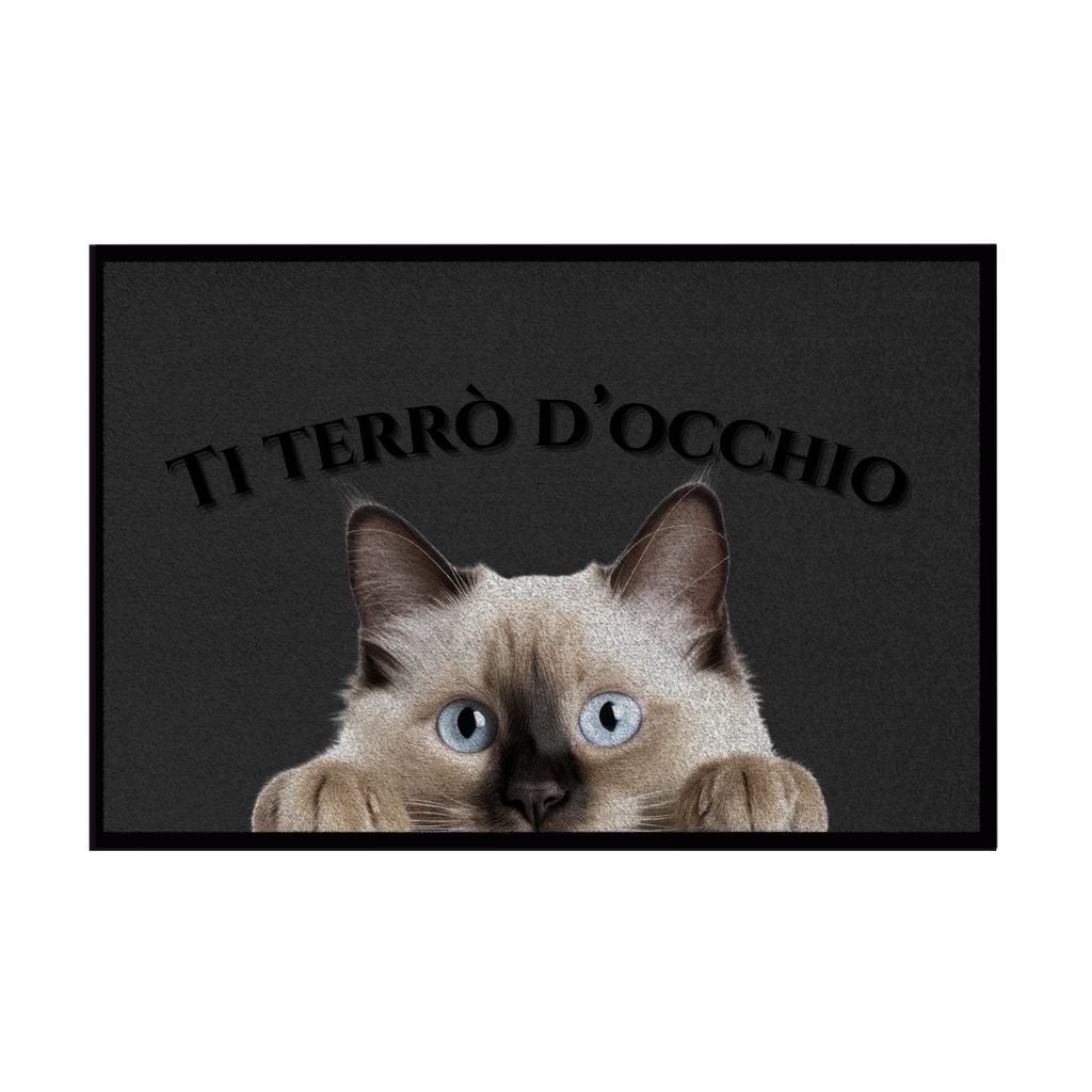 Zerbini - Collezione Cani & Gatti - Gatti curiosi