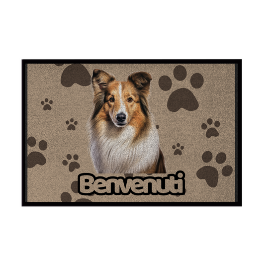 🐾  Zerbini - Collezione Cani & Gatti - Benvenuti